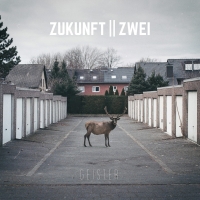 Wohnzimmerkonzert - Private Veranstaltung mit Einladung  - Punk/Hardcore 